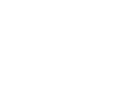 year-2019